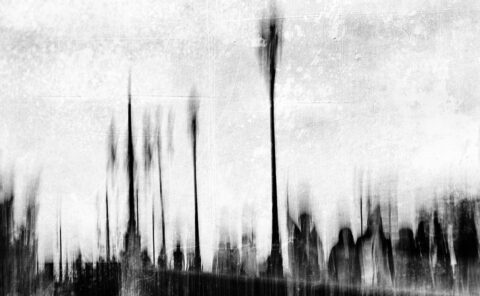 Laurent Spadotto - Artiste photographe - Bordeaux, France