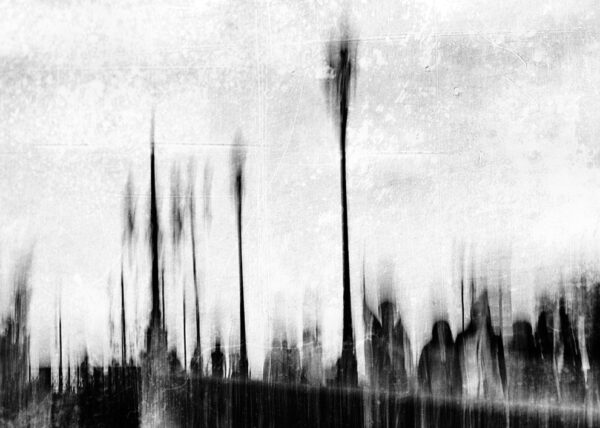 Laurent Spadotto - Artiste photographe - Bordeaux, France