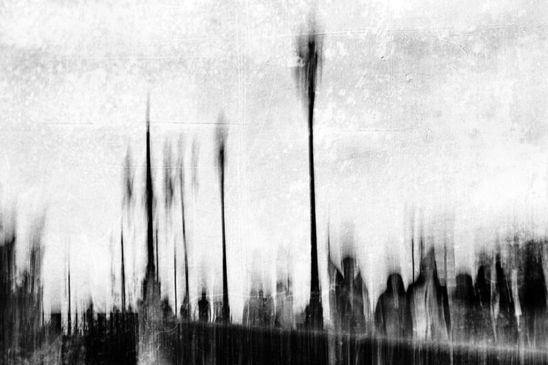 Laurent Spadotto - Artiste photographe - Bordeaux, France